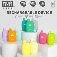 Flum Pebble Rechargeable Disposable 6000 Puffs